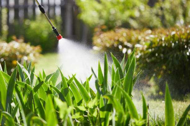 Void Injection for Cockroach Colonies in Westlake Village