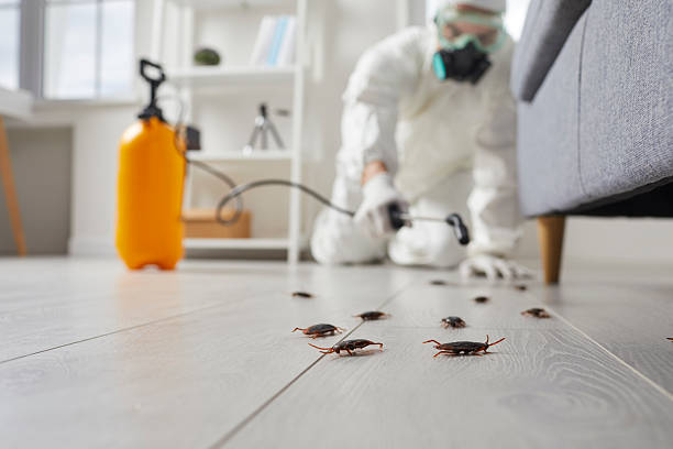 Commercial Kitchen Cockroach Control in Westlake Village