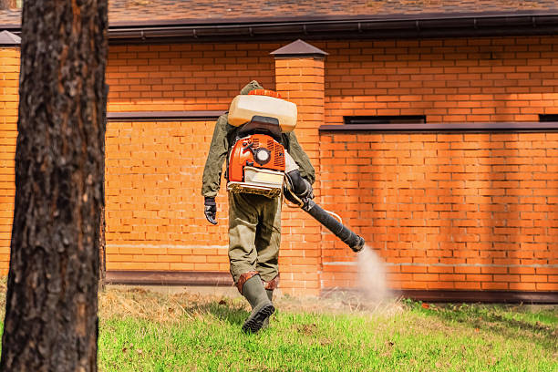 Cockroach Follow-Up and Monitoring in Westlake Village